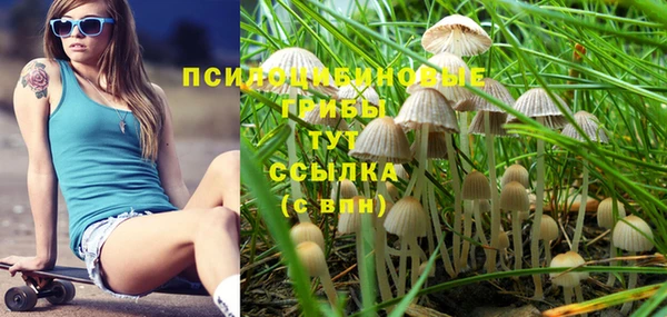 кристаллы Богданович