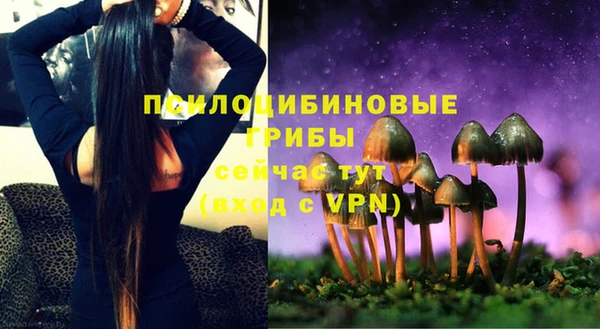 кристаллы Богданович