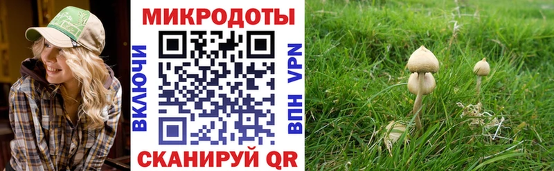 Галлюциногенные грибы MAGIC MUSHROOMS  Ставрополь 